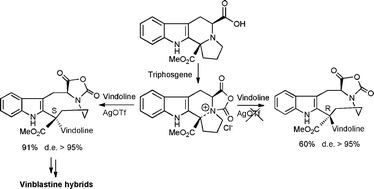 Graphical abstract: Elaboration of vinblastine hybrids using a reactive in situ generated N-carboxyanhydride