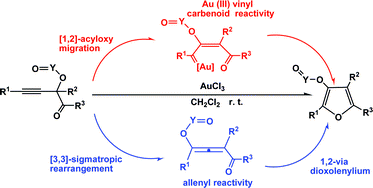 Graphical abstract: A DFT study on the mechanism of gold(iii)-catalyzed synthesis of highly substituted furansvia [3, 3]-sigmatropic rearrangements and/or [1, 2]-acyloxy migration based on propargyl ketones