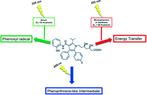 Graphical abstract: Photophysical characterization of atorvastatin (Lipitor®) ortho-hydroxy metabolite: role of hydroxyl group on the drug photochemistry