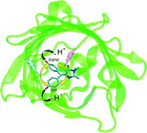 Graphical abstract: Photoswitching of E222Q GFP mutants: “concerted” mechanism of chromophore isomerization and protonation