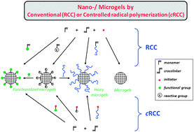 Graphical abstract: Synthesis of nanogels/microgels by conventional and controlled radical crosslinking copolymerization