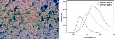 Graphical abstract: Solution, thermal and optical properties of new poly(pyridinium salt)s derived from bisquinoline diamines