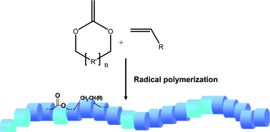 Graphical abstract: Chemistry, chances and limitations of the radical ring-opening polymerization of cyclic ketene acetals for the synthesis of degradable polyesters