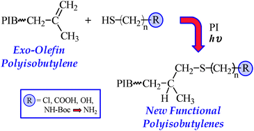 Graphical abstract: Facile polyisobutylene functionalization via thiol–ene click chemistry