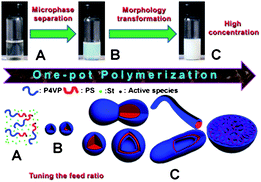 Graphical abstract: One-pot synthesis of polymeric nanomaterials via RAFT dispersion polymerization induced self-assembly and re-organization