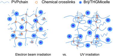 Graphical abstract: E-beam irradiation and UV photocrosslinking of microemulsion-laden poly(N-vinyl-2-pyrrolidone) hydrogels for “in situ” encapsulation of volatile hydrophobic compounds