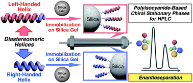 Graphical abstract: Separation of enantiomers on diastereomeric right- and left-handed helical poly(phenyl isocyanide)s bearing l-alanine pendants immobilized on silica gel by HPLC