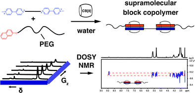 Graphical abstract: Probing cucurbit[8]uril-mediated supramolecular block copolymer assembly in water using diffusion NMR