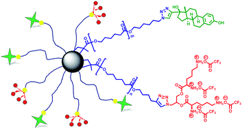 Graphical abstract: Miktoarm core-crosslinked star copolymers with biologically active moieties on peripheries