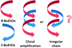 Graphical abstract: Main-chain chiral copoly(2-oxazoline)s