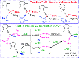 Graphical abstract: (Imido)vanadium(v)-alkyl, -alkylidene complexes exhibiting unique reactivity towards olefins and alcohols