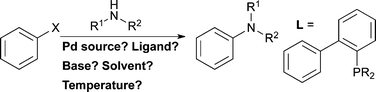 Graphical abstract: Dialkylbiaryl phosphines in Pd-catalyzed amination: a user's guide