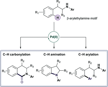 Graphical abstract: Amine directed Pd(ii)-catalyzed C–H bond functionalization under ambient conditions