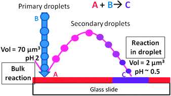 Graphical abstract: Accelerated bimolecular reactions in microdroplets studied by desorption electrospray ionization mass spectrometry