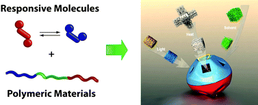 Graphical abstract: Triggered structural and property changes in polymeric nanomaterials