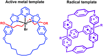 Graphical abstract: Novel and efficient templates for assembly of rotaxanes and catenanes