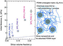 Graphical abstract: Nano-hybrid self-crosslinked PDMA/silica hydrogels