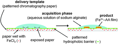 Graphical abstract: Patterned paper as a template for the delivery of reactants in the fabrication of planar materials