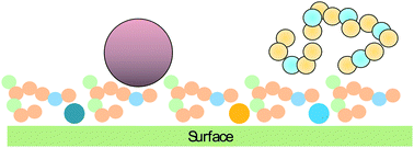 Graphical abstract: Density functional theory for predicting polymeric forces against surface fouling
