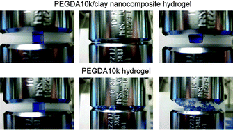 Graphical abstract: PEG/clay nanocomposite hydrogel: a mechanically robust tissue engineering scaffold
