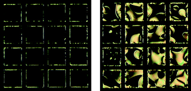 Graphical abstract: Nematic ordering drives the phase separation of mixed monolayers containing phospholipids modified with poly(ethylene glycol) at aqueous–liquid crystal interfaces