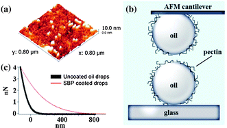 Graphical abstract: Molecular basis for the emulsifying properties of sugar beet pectin studied by atomic force microscopy and force spectroscopy