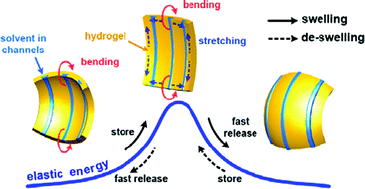 Graphical abstract: First jump of microgel; actuation speed enhancement by elastic instability