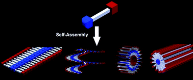 Graphical abstract: Self-assembled one-dimensional soft nanostructures