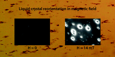Graphical abstract: Magnetic sensitivity of a dispersion of aggregated ferromagnetic carbon nanotubes in liquid crystals