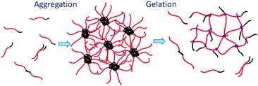 Graphical abstract: Aggregation-induced microgelation: a new approach to prepare gels in solution