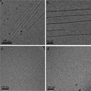 Graphical abstract: Order–disorder transition induced by surfactant micelles in single-walled carbon nanotubes dispersions