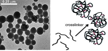 Graphical abstract: Robust synthesis of nanogel particles by an aggregation-crosslinking method
