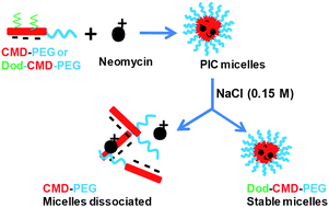 Graphical abstract: Robust polymeric nanoparticles for the delivery of aminoglycoside antibiotics using carboxymethyldextran-b-poly(ethyleneglycols) lightly grafted with n-dodecyl groups