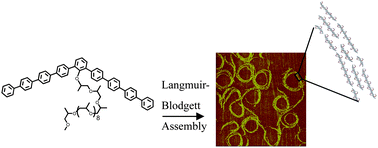 Graphical abstract: Langmuir–Blodgett assembly of bent-shaped rigid amphiphiles into spiral rings