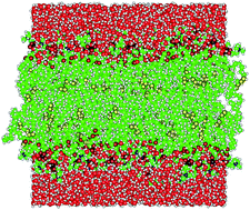 Graphical abstract: Recent development in computer simulations of lipid bilayers