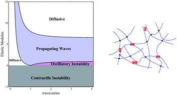 Graphical abstract: Instabilities and oscillations in isotropic active gels