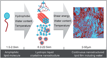 Graphical abstract: Water-in-oil nanostructured emulsions: towards the structural hierarchy of liquid crystalline materials