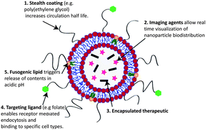 Graphical abstract: Nanoparticles with targeting, triggered release, and imaging functionality for cancer applications