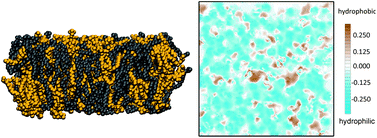 Graphical abstract: Atomic-scale lateral heterogeneity and dynamics of two-component lipid bilayers composed of saturated and unsaturated phosphatidylcholines