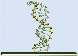 Graphical abstract: Molecular pathways in DNA-DNA hybridization of surface-bound oligonucleotides
