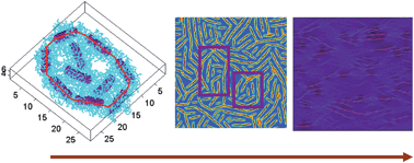 Graphical abstract: Self-assembly of mixtures of nanorods in binary, phase-separating blends