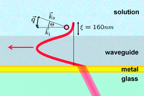 Graphical abstract: Probing dynamics near surfaces: waveguide enhanced dynamic light scattering