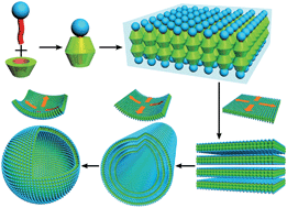 Graphical abstract: Aqueous self-assembly of SDS@2β-CD complexes: lamellae and vesicles
