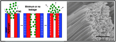 Graphical abstract: A stimuli-responsive coaxial nanofilm for burst release