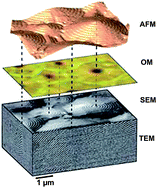 Graphical abstract: Color selectivity lent to a cholesteric liquid crystal by monitoring interface-induced deformations
