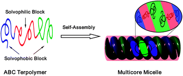 Graphical abstract: Discovering multicore micelles: insights into the self-assembly of linear ABC terpolymers in midblock-selective solvents
