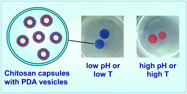 Graphical abstract: Biopolymer capsules bearing polydiacetylenic vesicles as colorimetric sensors of pH and temperature