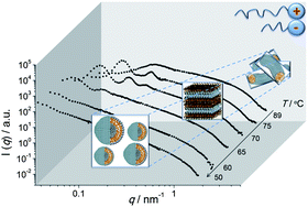 Graphical abstract: Fusion and fission of catanionic bilayers