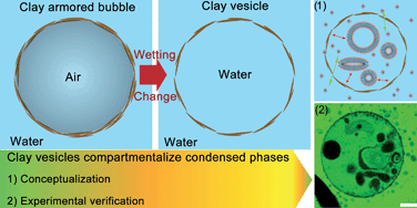 Graphical abstract: Semi-permeable vesicles composed of natural clay