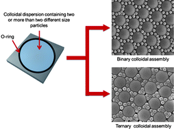 Graphical abstract: Multicomponent colloidal crystals that are tunable over large areas